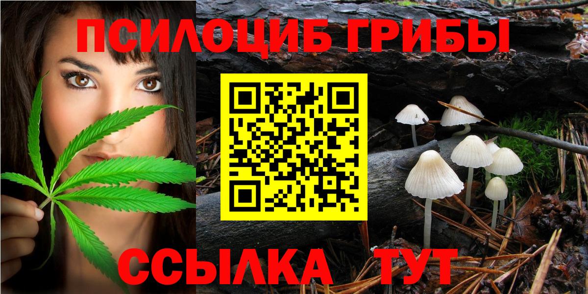 Галлюциногенные грибы GOLDEN TEACHER Железноводск